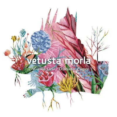 Portada de Mismo sitio, distinto lugar, de Vetusta Morla